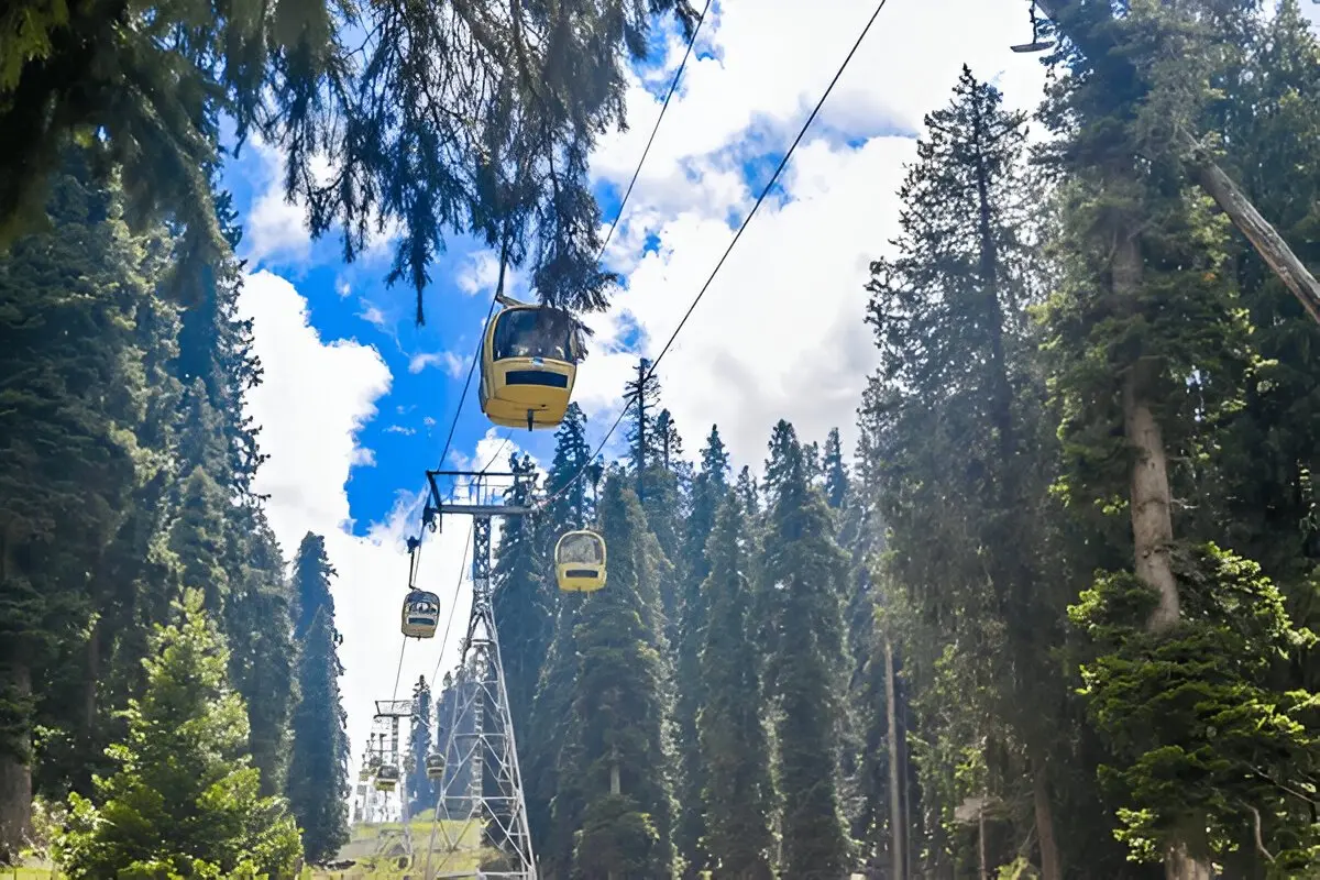 Gulmarg Gondola cabins above a pine forest