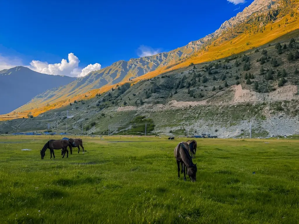 Horses grazing in a meadow with autumn trees