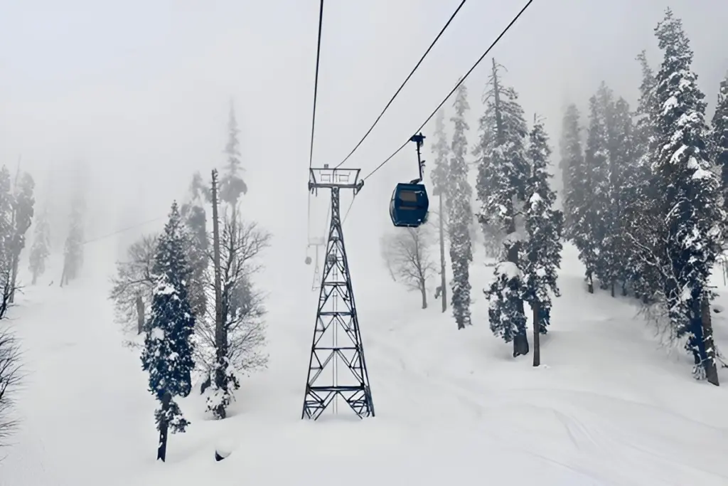 Gondola over a snowy pine forest in winter