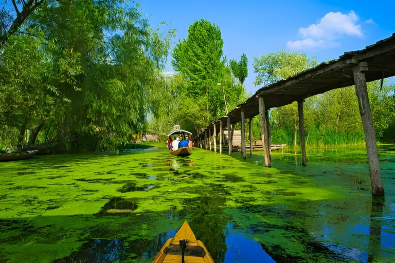 Cheap Kashmir Package: Srinagar, Gulmarg & Pahalgam (3N/4D)