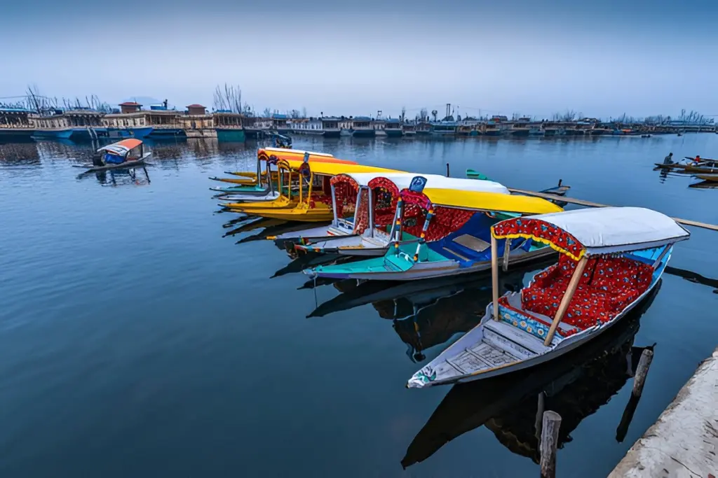 Colourful Shikaras lined up on Dal Lake