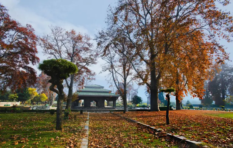 3 Nights 4 Days Kashmir Package
