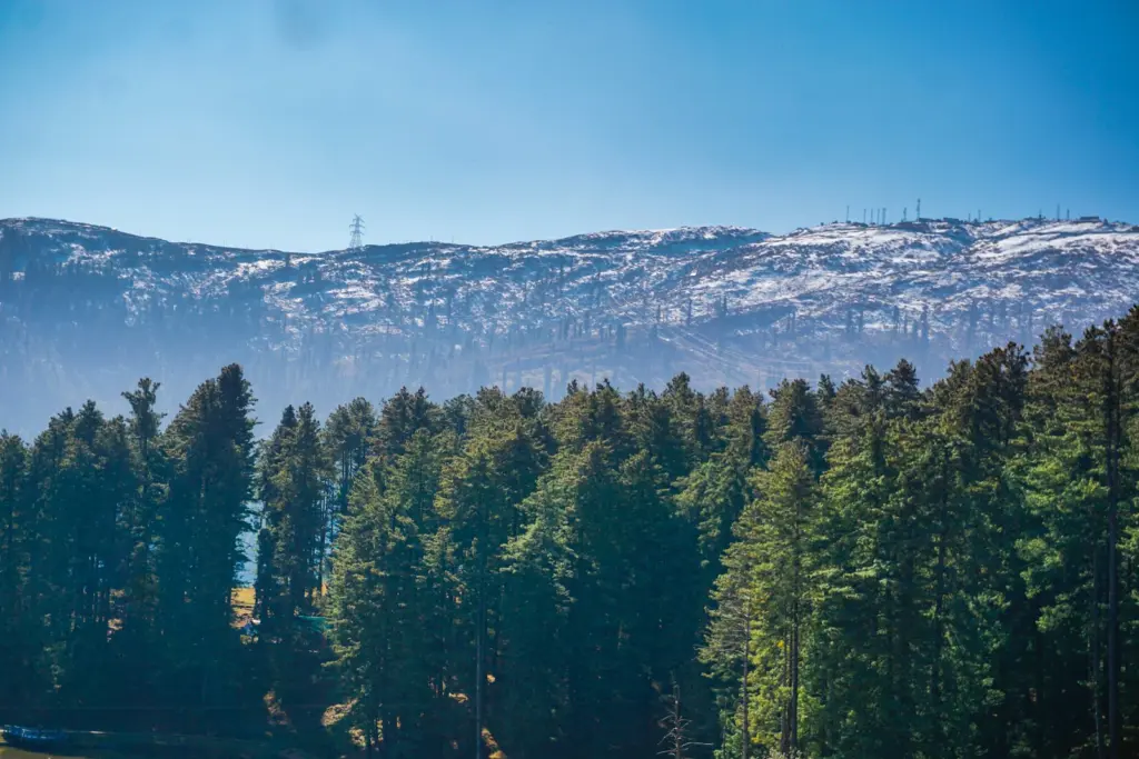 Mountain view framed by trees at Patnitop