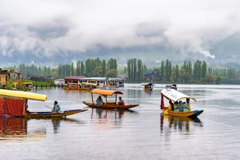Dal Lake Houseboat Experience